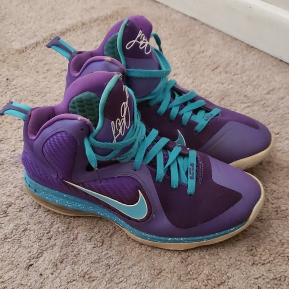 Other - Lebron 9 Summit  Lake Hornets